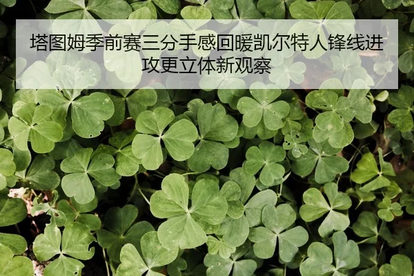塔图姆季前赛三分手感回暖凯尔特人锋线进攻更立体新观察